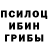 Галлюциногенные грибы Psilocybe KOMUTAN