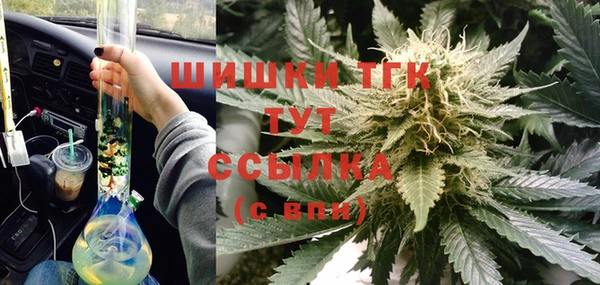 гидра Аркадак