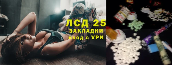 гидра Аркадак