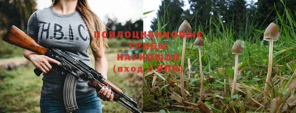 стаф Снежинск