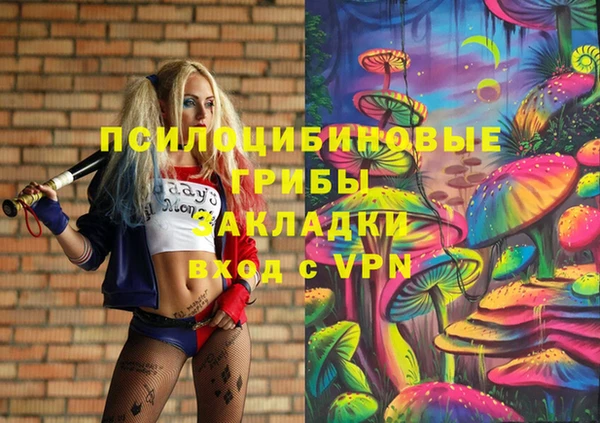 прущая мука Армянск