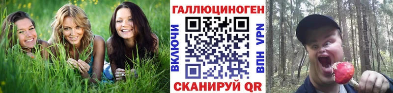 Галлюциногенные грибы прущие грибы  Белорецк 