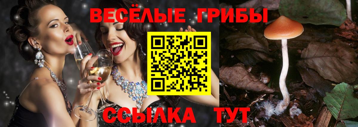 Галлюциногенные грибы мухоморы Белорецк